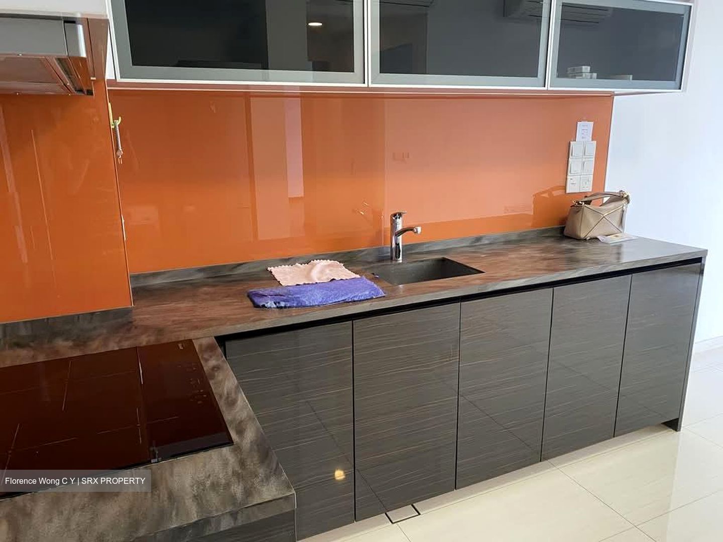 Sant Ritz (D13), Condominium #582230151